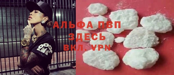 ПСИЛОЦИБИНОВЫЕ ГРИБЫ Новокубанск