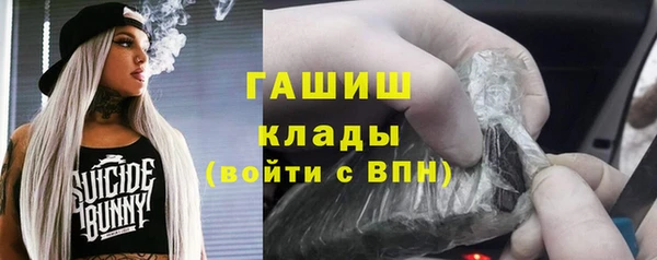 гашик Алексеевка