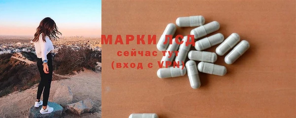 гашик Алексеевка