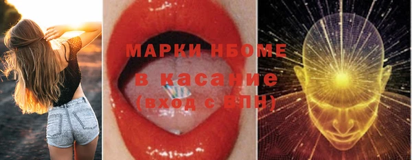 гашик Алексеевка